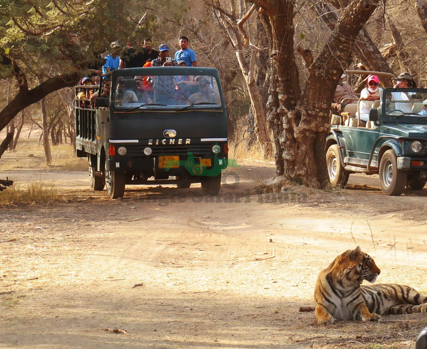 Ranthambore Tour Package 1 Night / 2 Days With 1 Time Canter Safari