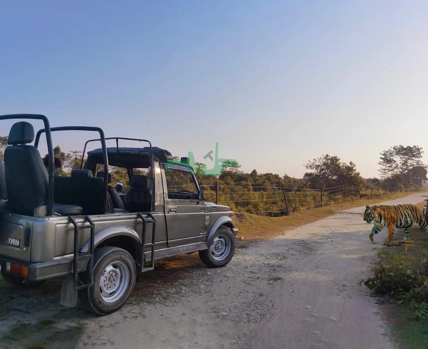 Ranthambore Tour 1 Night 2 Days Tour With 1 Time Jeep Safari