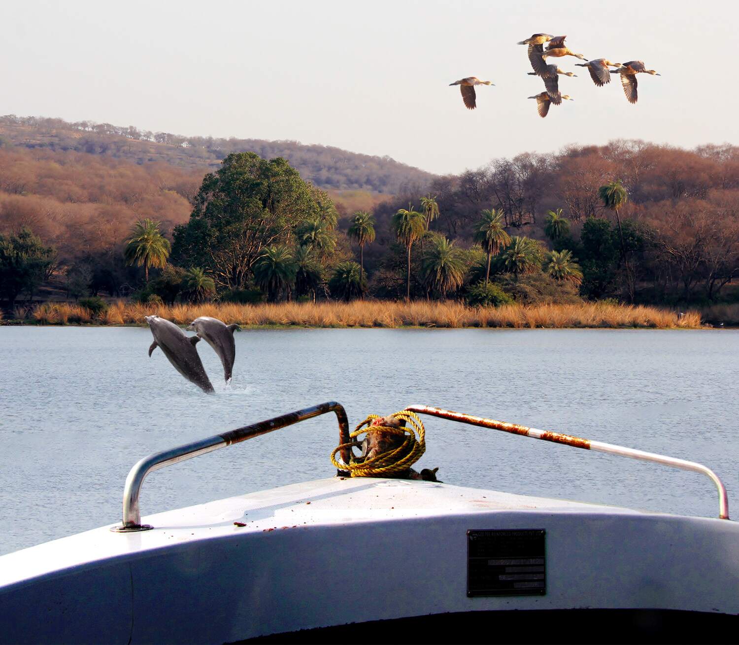 Ranthambore Chambal Safari