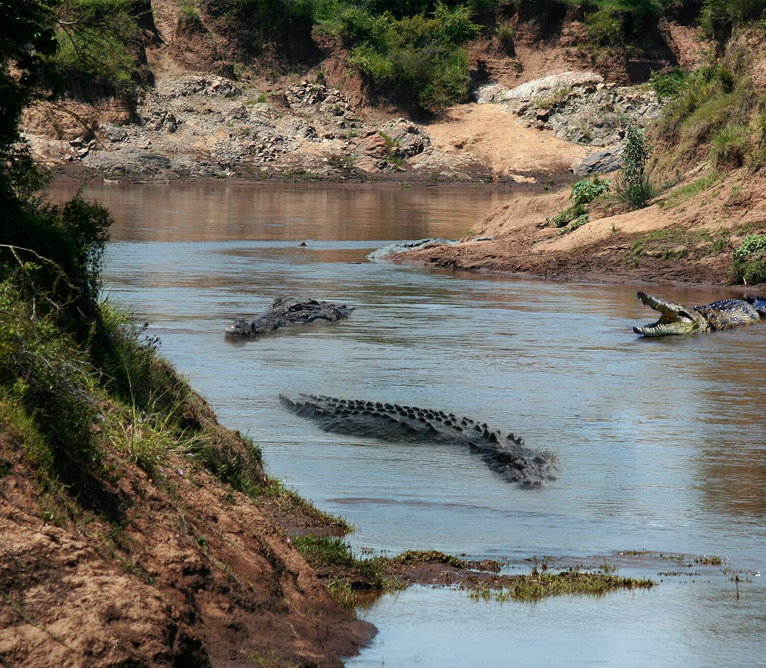 Ranthambore Chambal River