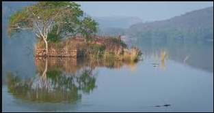 Ranthambore Padam Talao